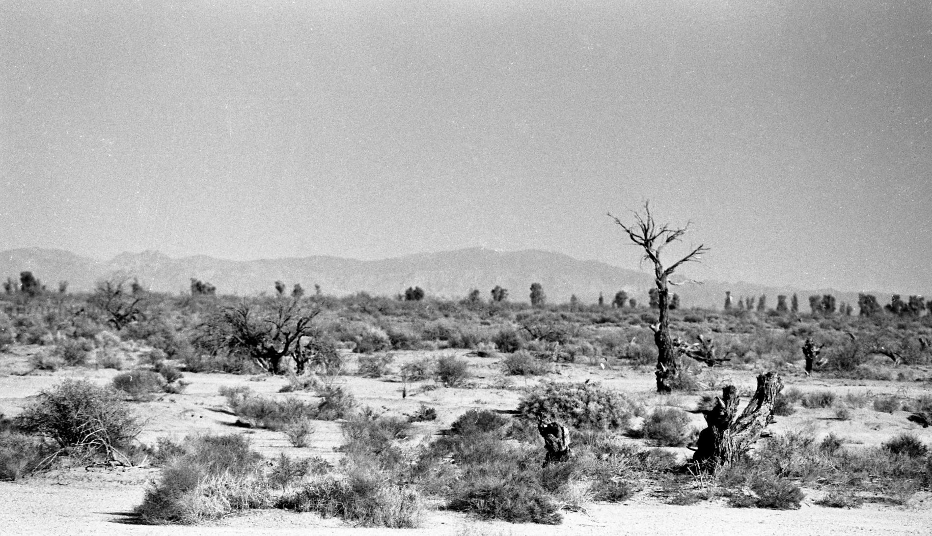 Interstate Highway in Pima County 10 / US 80